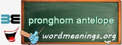 WordMeaning blackboard for pronghorn antelope